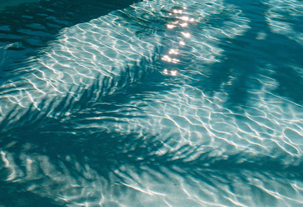 Sunlight reflecting across rippling turquoise pool water with palm tree shadows.