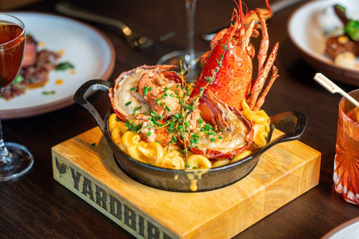 Skillet of creamy macaroni and cheese topped with a split lobster tail, garnished with fresh herbs, served on a wooden board labeled “Yardbird.”