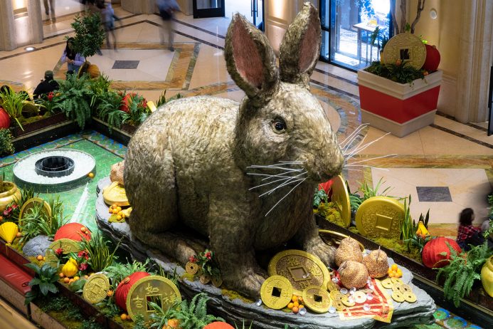 Year of the Rabbit Grand Display